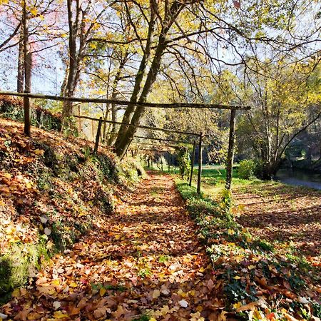 Lever Quinta De Mouraes Casa Dos Rododendros 게스트하우스 외부 사진