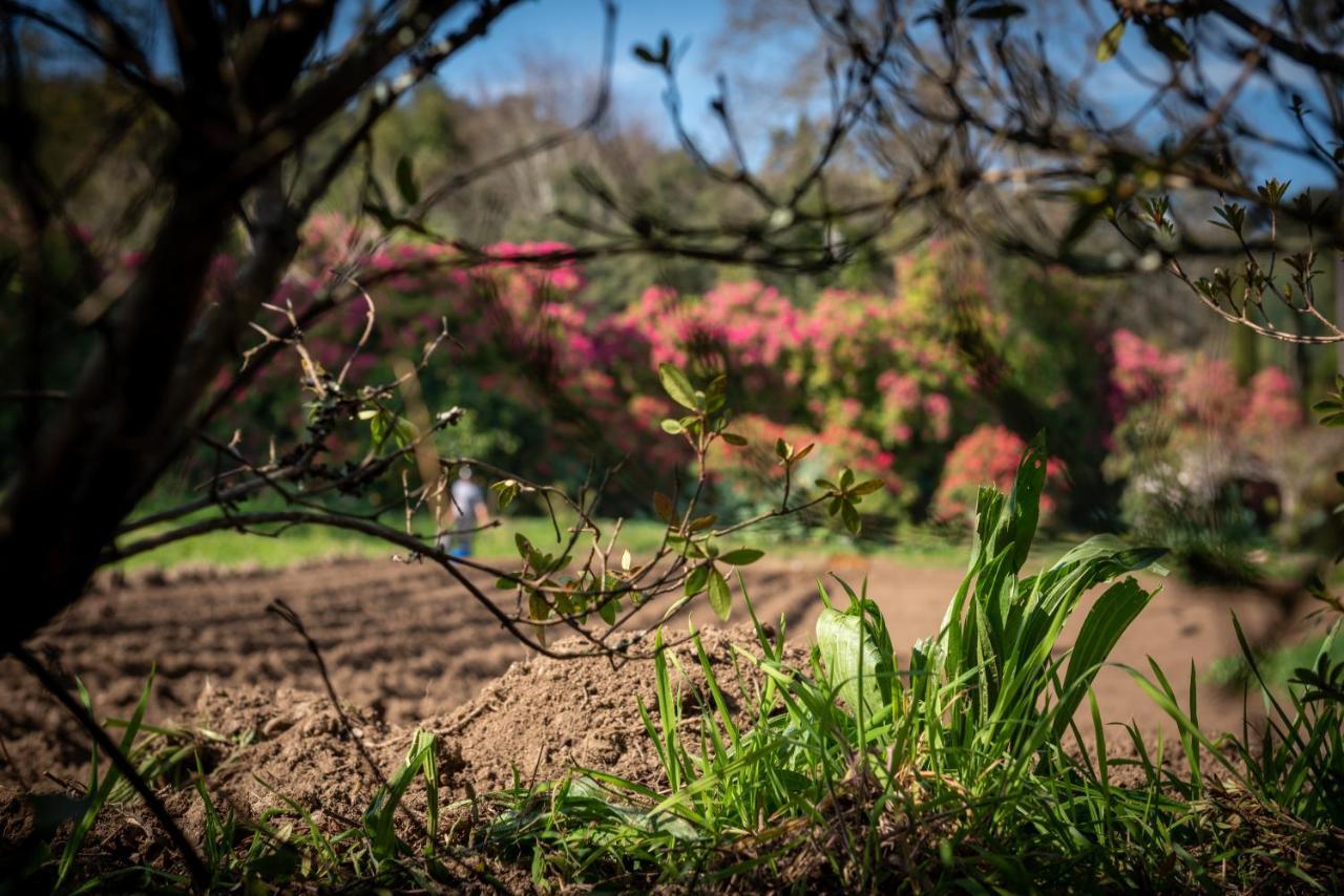 Lever Quinta De Mouraes Casa Dos Rododendros 게스트하우스 외부 사진