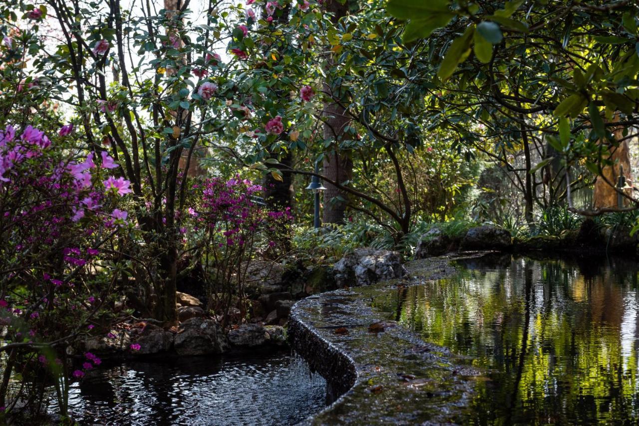 Lever Quinta De Mouraes Casa Dos Rododendros 게스트하우스 외부 사진