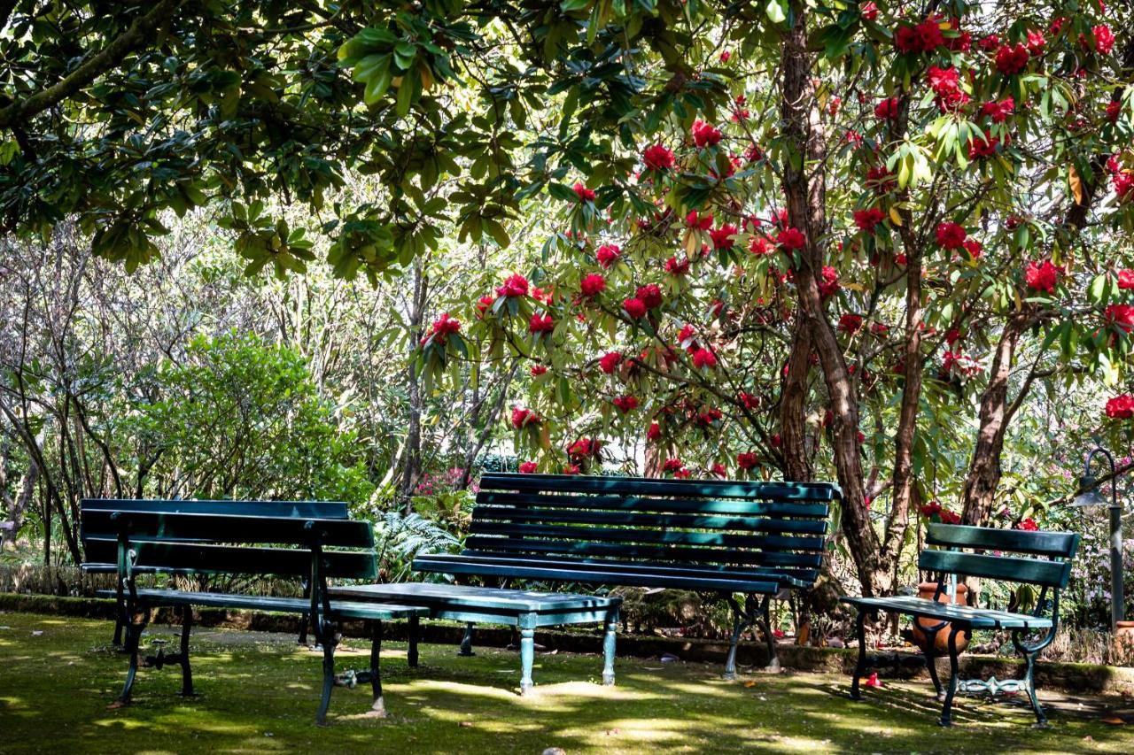 Lever Quinta De Mouraes Casa Dos Rododendros 게스트하우스 외부 사진