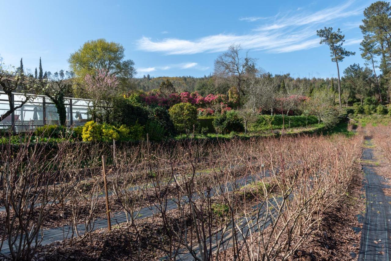 Lever Quinta De Mouraes Casa Dos Rododendros 게스트하우스 외부 사진