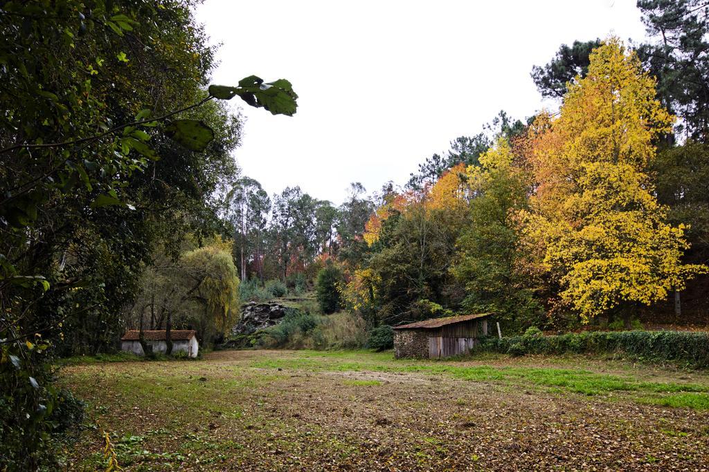 Lever Quinta De Mouraes Casa Dos Rododendros 게스트하우스 외부 사진