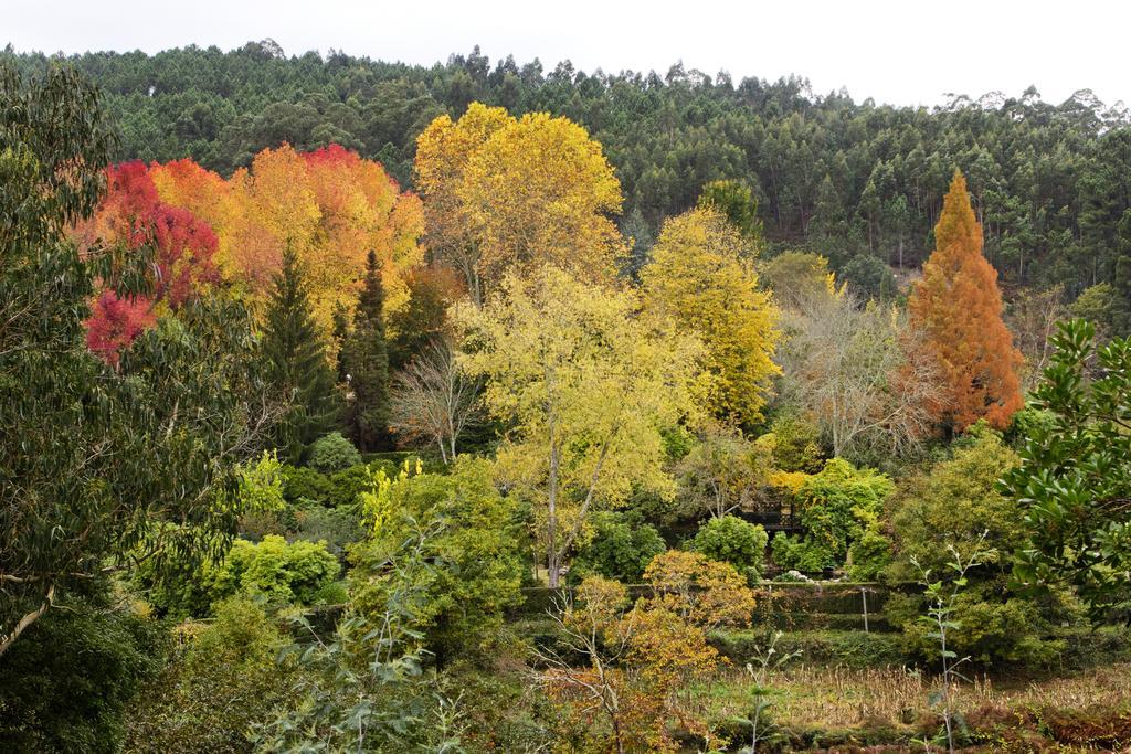 Lever Quinta De Mouraes Casa Dos Rododendros 게스트하우스 외부 사진