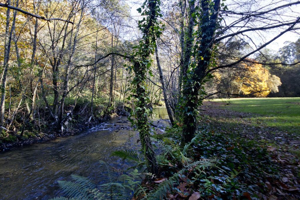 Lever Quinta De Mouraes Casa Dos Rododendros 게스트하우스 외부 사진