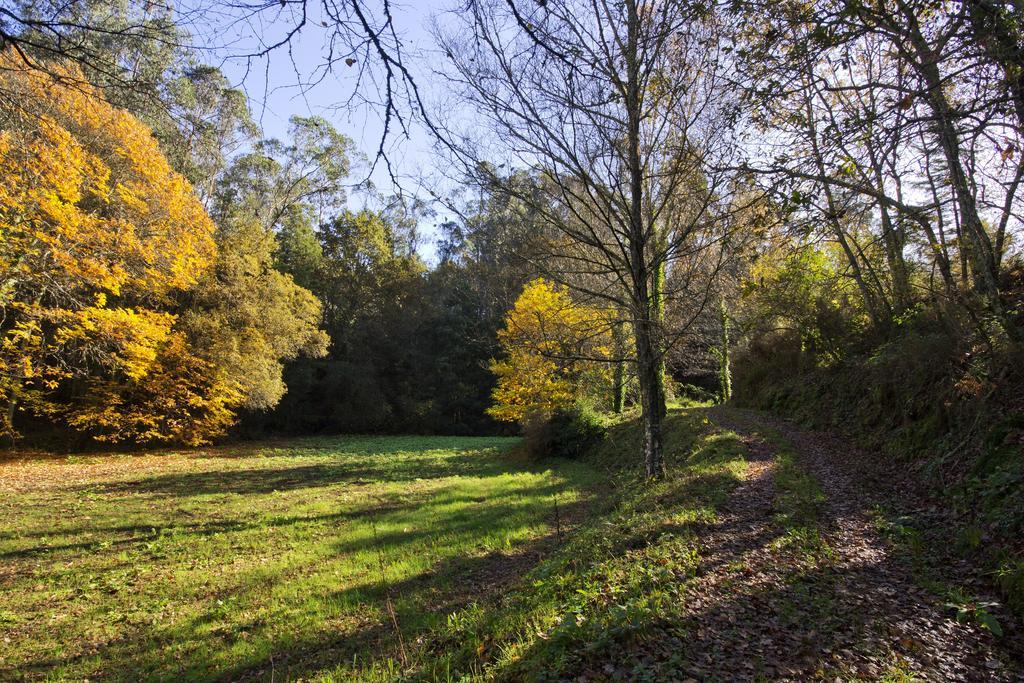 Lever Quinta De Mouraes Casa Dos Rododendros 게스트하우스 외부 사진