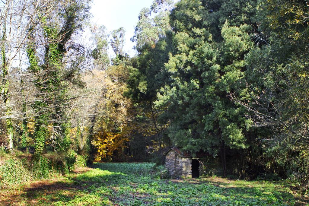 Lever Quinta De Mouraes Casa Dos Rododendros 게스트하우스 외부 사진
