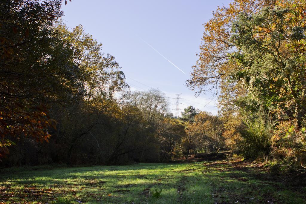 Lever Quinta De Mouraes Casa Dos Rododendros 게스트하우스 외부 사진