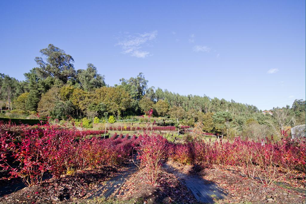 Lever Quinta De Mouraes Casa Dos Rododendros 게스트하우스 외부 사진