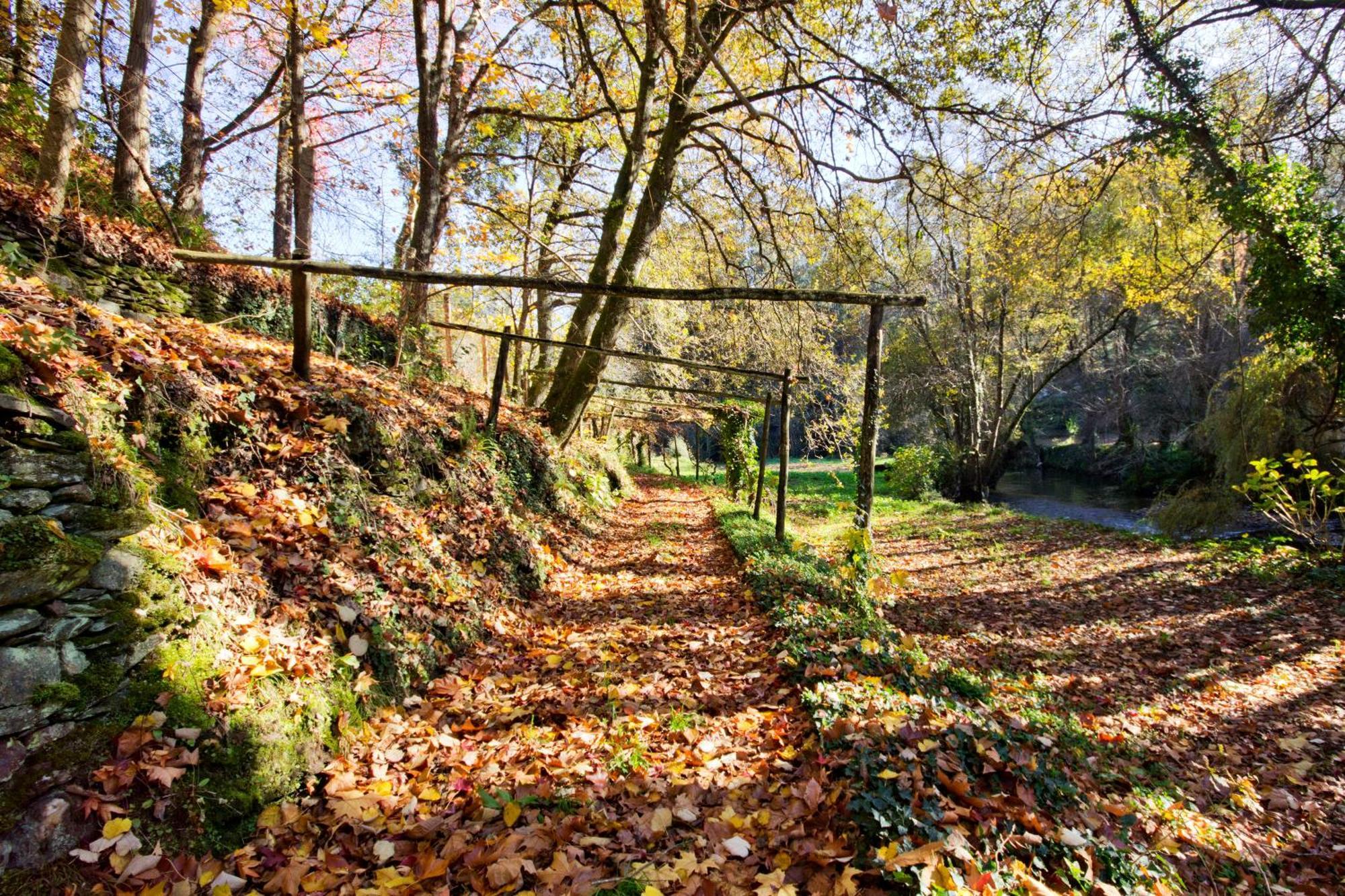 Lever Quinta De Mouraes Casa Dos Rododendros 게스트하우스 외부 사진