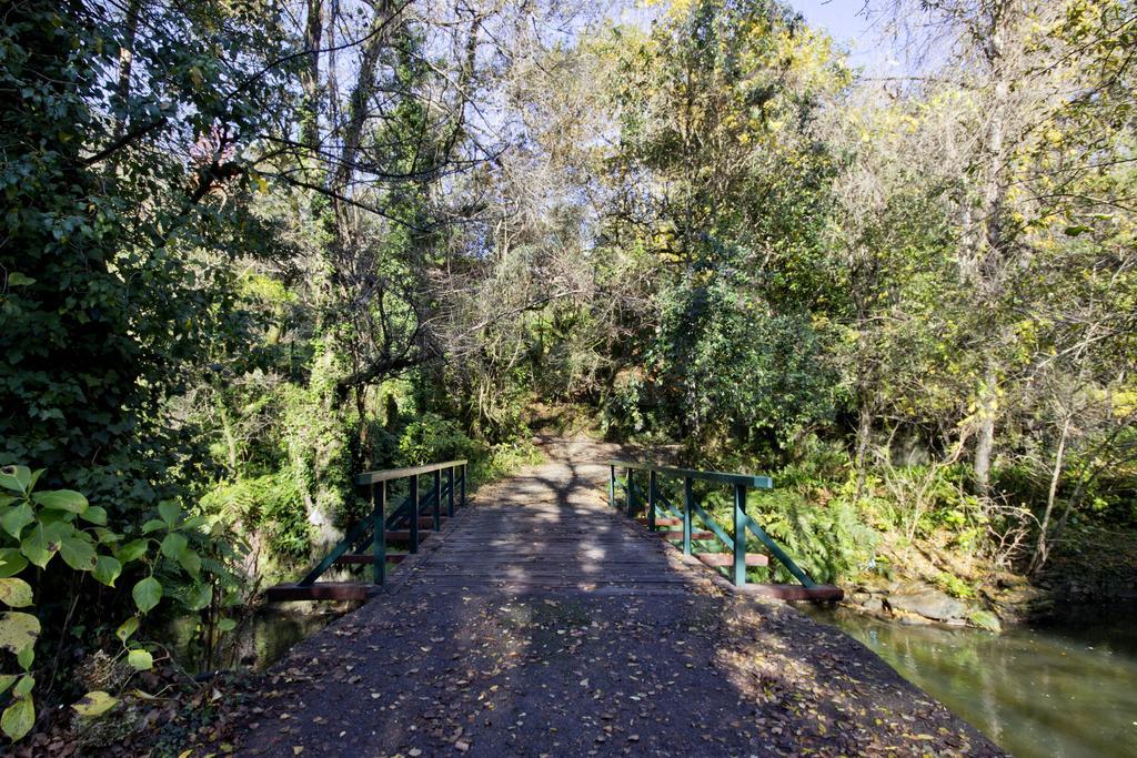 Lever Quinta De Mouraes Casa Dos Rododendros 게스트하우스 외부 사진