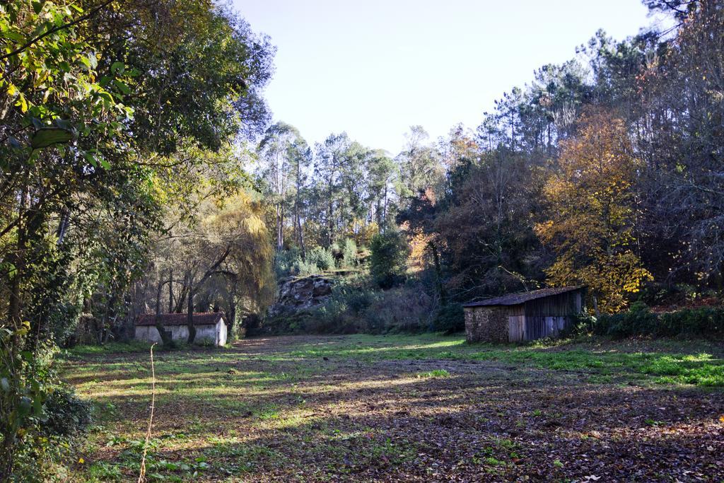 Lever Quinta De Mouraes Casa Dos Rododendros 게스트하우스 외부 사진